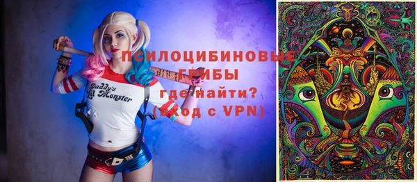 амф Белокуриха