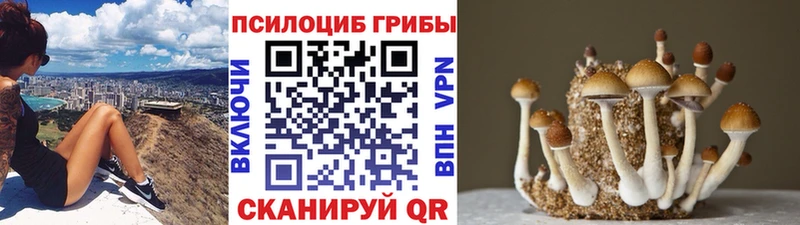 Галлюциногенные грибы Cubensis  купить наркотики цена  Волгореченск 